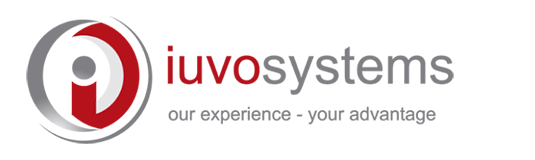 Iuvo Systems | GovCon | Outsourced Accounting | Deltek Partner