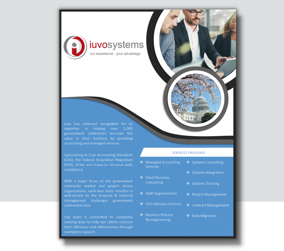 Download Iuvo Systems Services Offering brochure
