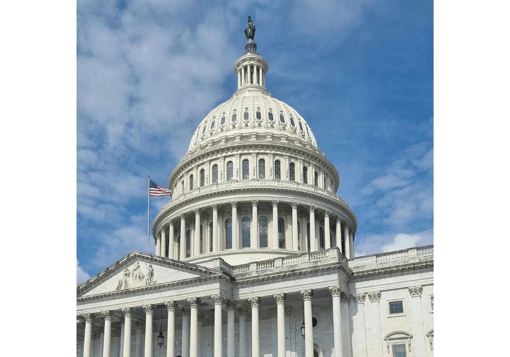 U.S. Capitol building in Washington, D.C., representing federal contract awards and government contracting opportunities.