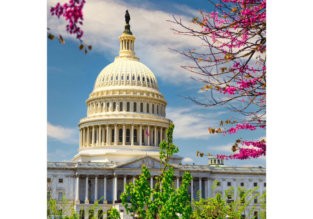 U.S. Capitol building in Washington, DC, representing government financial and advisory services