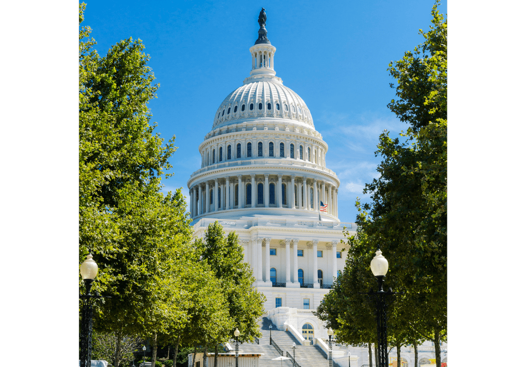 U.S. Capitol building representing staffing solutions for government agencies and contractors.